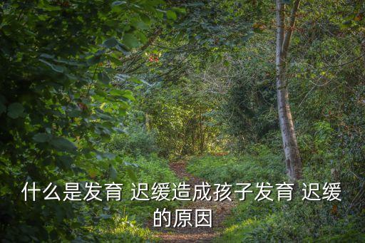 什么是發(fā)育 遲緩造成孩子發(fā)育 遲緩的原因