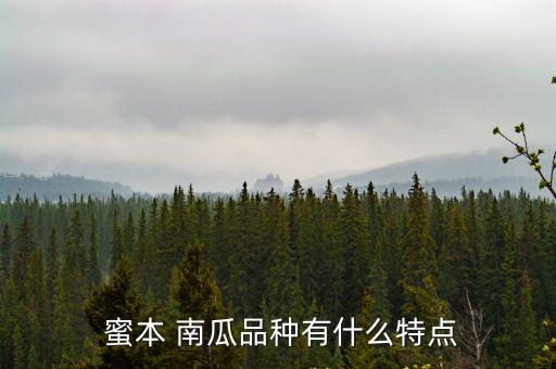  蜜本 南瓜品種有什么特點