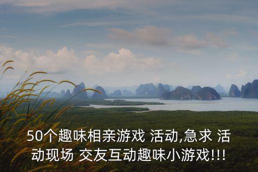 交友活動,選擇適合自己的異性朋友!可以參加哪些活動?
