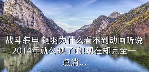 戰(zhàn)斗裝甲 鋼羽為什么看不到動畫聽說2014年就公映了的!現(xiàn)在卻完全一點(diǎn)消...