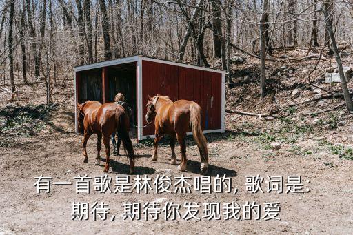 期待愛歌詞,期待你找到了我的愛第二集