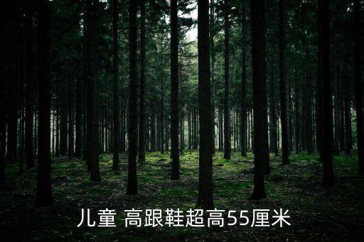  兒童 高跟鞋超高55厘米
