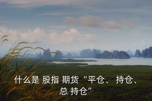 什么是 股指 期貨“平倉、 持倉、總 持倉”