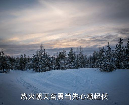 奮勇當先，奮勇爭先的近義詞