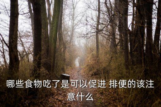 哪些食物吃了是可以促進 排便的該注意什么