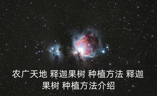 釋迦果怎么種植,釋迦果實種子長成植株后進行修剪