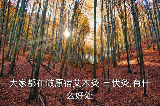 什么是三伏灸,三伏天艾灸可以預(yù)防冠病嗎?