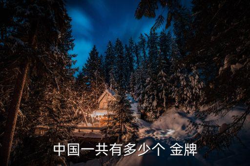 金牌獎牌,中國體育代表團(tuán)獲38金牌列奧運(yùn)會金牌榜單第二名