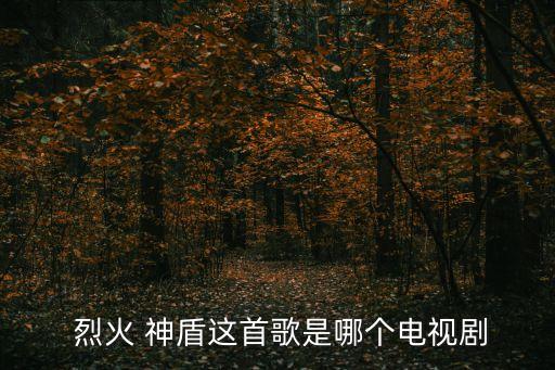  烈火 神盾這首歌是哪個電視劇