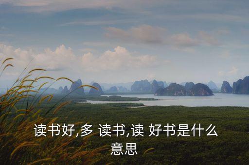  讀書(shū)好,多 讀書(shū),讀 好書(shū)是什么意思