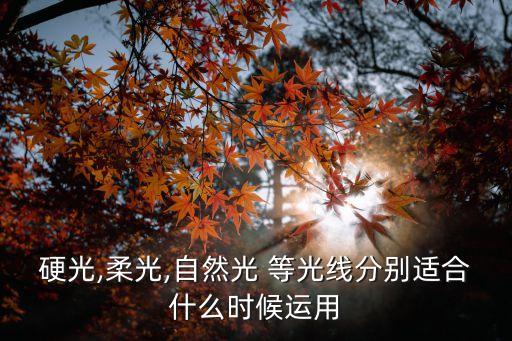 等光,太陽光通過輔助光或者輔助設備進行后期處理