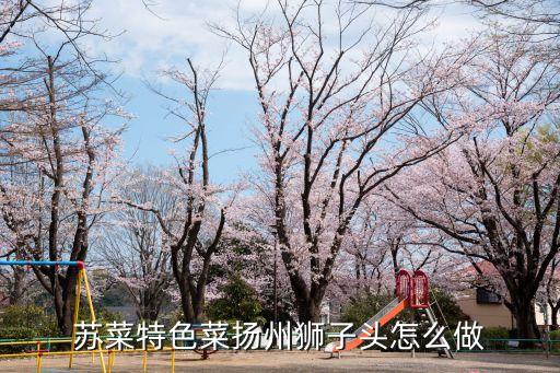揚州獅子頭，揚州獅子頭最正宗的做法