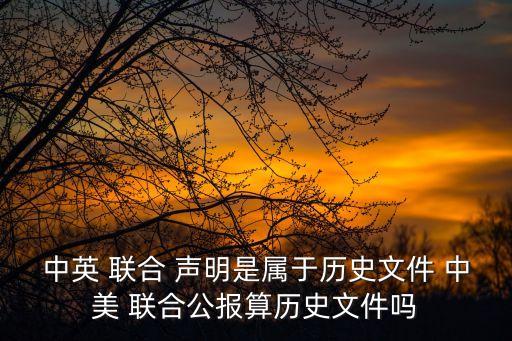 中英 聯合 聲明是屬于歷史文件 中美 聯合公報算歷史文件嗎
