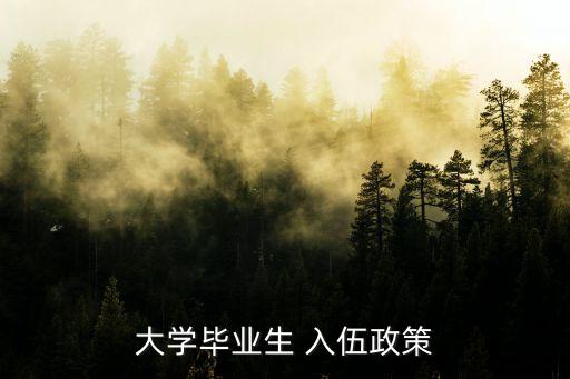 大學生入伍,大學畢業生入伍政策:享受所有軍人統一優惠政策