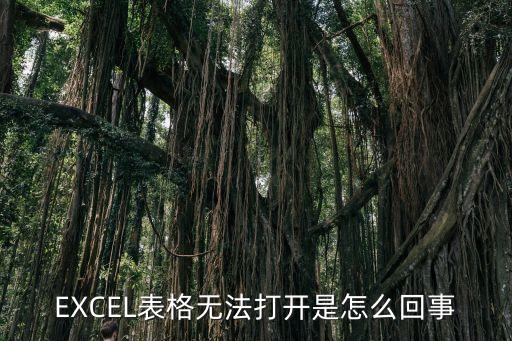 EXCEL表格無法打開是怎么回事