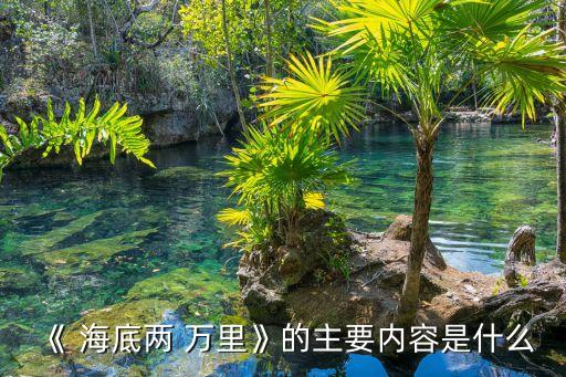 海底兩萬里,海底2萬里講述了1876年海上發現獨角鯨怪物