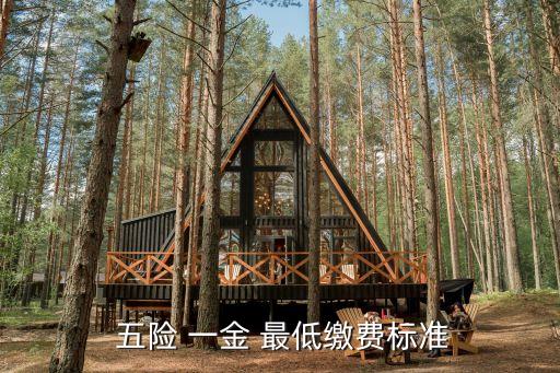 五險一金最低基數,社會保險基數每年都在調整