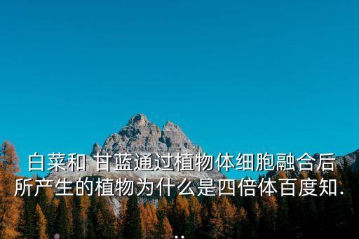 白菜甘藍,不育nn白菜和甘藍雜交不育