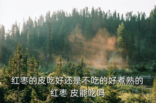 紅棗的皮吃好還是不吃的好煮熟的 紅棗 皮能吃嗎