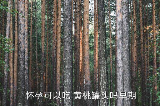 懷孕能吃黃桃嗎,孕婦吃黃桃注意什么?一般來說都沒事!