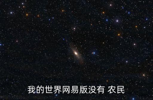 我的世界網易版沒有 農民