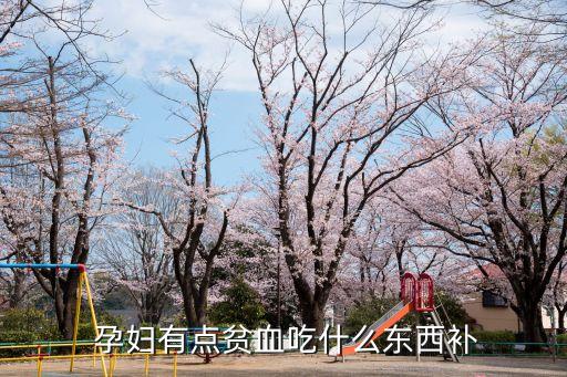  孕婦有點貧血吃什么東西補