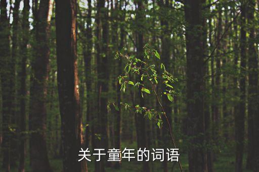 童年好詞，關于童年的詞語