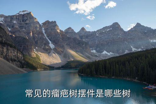 樹瘤,黑果樹樹瘤會同時開花結果具觀賞價值