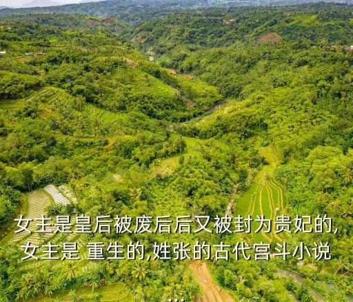 女主是皇后被廢后后又被封為貴妃的,女主是 重生的,姓張的古代宮斗小說...