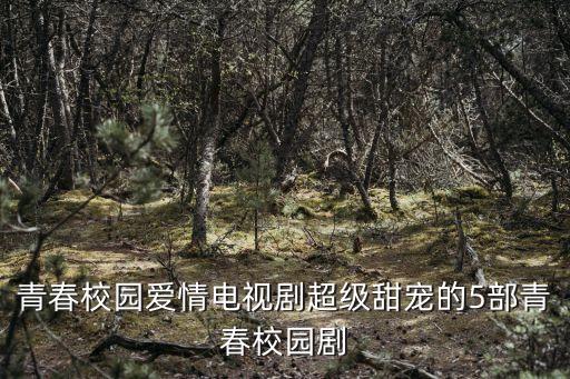 校園愛情劇，關于校園愛情的電視劇或電影有哪些