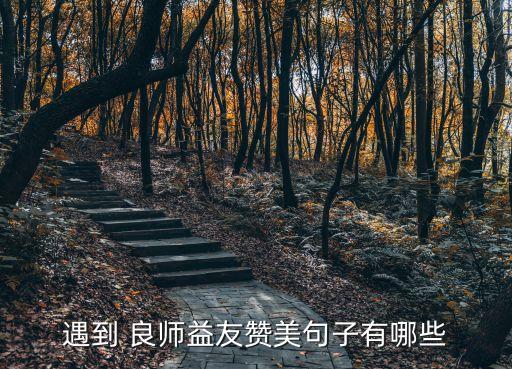 良師益友,三人行，一師使友成己