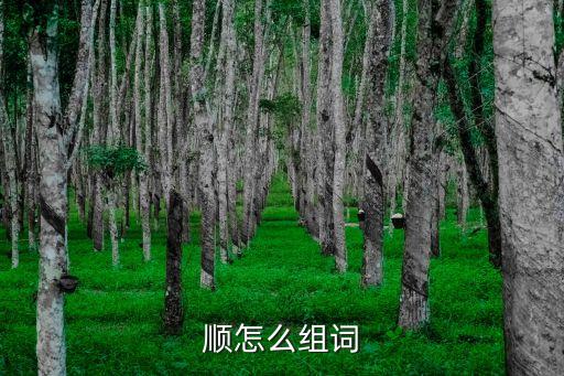 順的組詞，帶順的詞語有哪些
