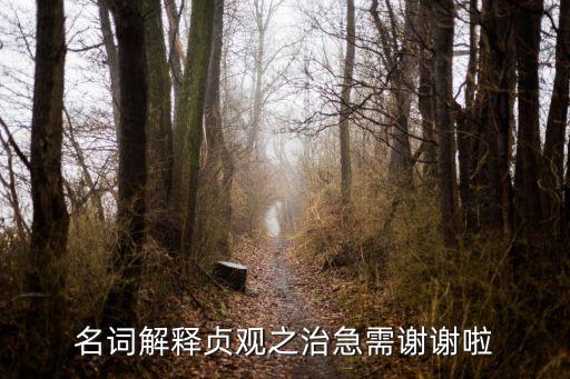 貞觀之治，解釋貞觀之治