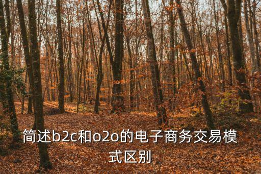 o2o電商盈利模式，簡述b2c和o2o的電子商務交易模式區別