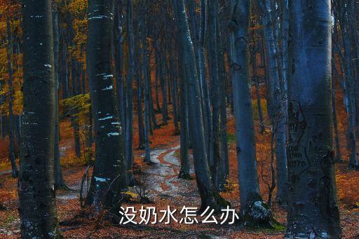沒奶水怎么辦
