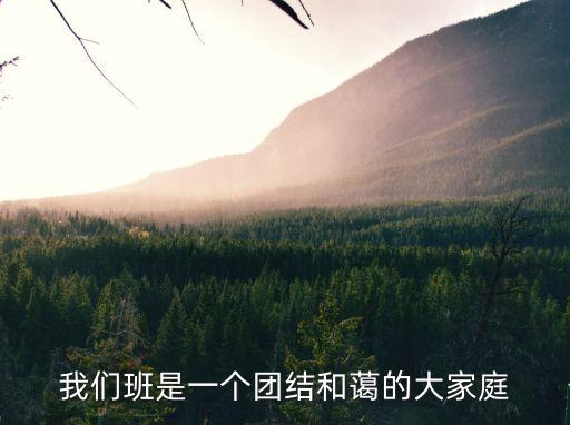 我們班是一個團結(jié)和藹的大家庭
