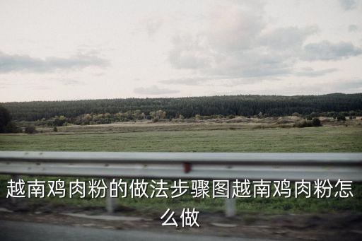 越南雞粉，越南有什么特色美食