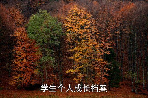 學生成長檔案，學生成長檔案怎么寫