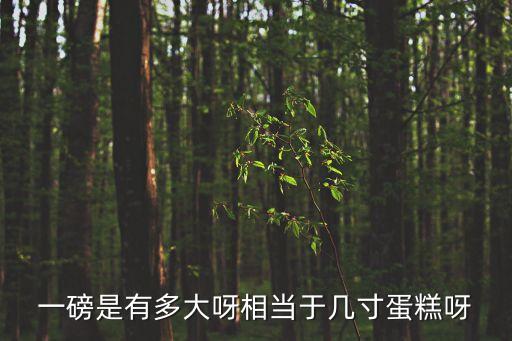 一磅是有多大呀相當于幾寸蛋糕呀