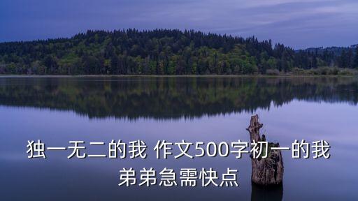 獨一無二的我 作文500字初一的我弟弟急需快點