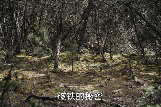 磁鐵的秘密