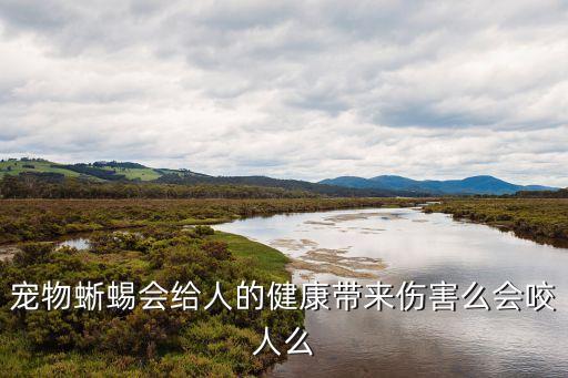 寵物蜥蜴，寵物蜥蜴會給人的健康帶來傷害么會咬人么