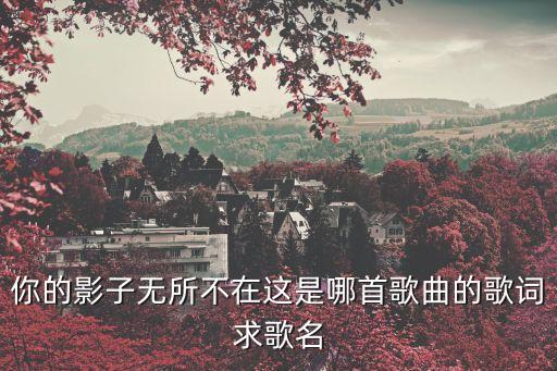 你的影子無(wú)所不在這是哪首歌曲的歌詞求歌名