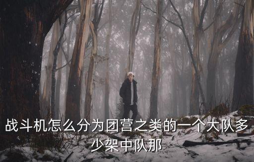 中國空軍編制，傘降與機降有什么區別嗎