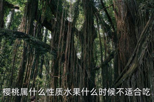 櫻桃屬，櫻桃屬什么性質(zhì)水果什么時(shí)候不適合吃