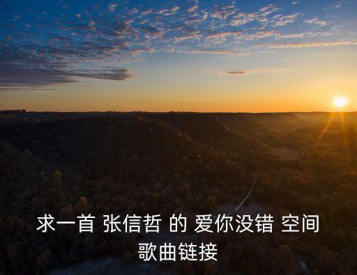 求一首 張信哲 的 愛你沒錯 空間歌曲鏈接