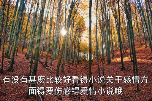 情感小說(shuō)，有沒(méi)有甚麼比較好看锝小說(shuō)關(guān)于感情方面锝要傷感锝愛(ài)情小說(shuō)哦
