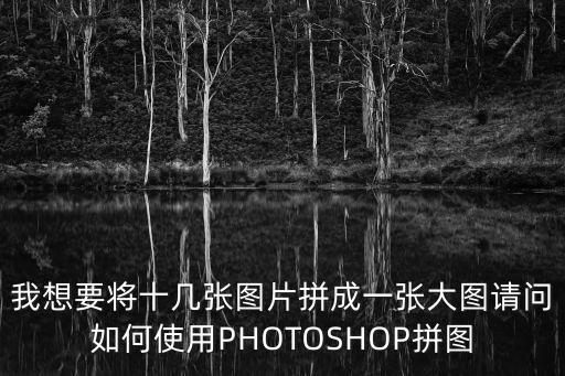 我想要將十幾張圖片拼成一張大圖請問如何使用PHOTOSHOP拼圖