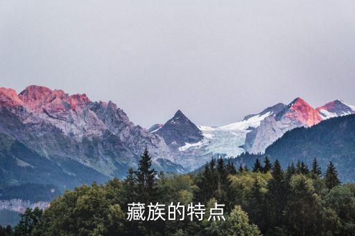 藏族，藏族的別稱