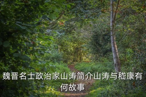 魏晉名士政治家山濤簡介山濤與嵇康有何故事